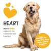 maxxipaws maxxicardio Heart and Cardiovascular Supplement for Dogs – Powder