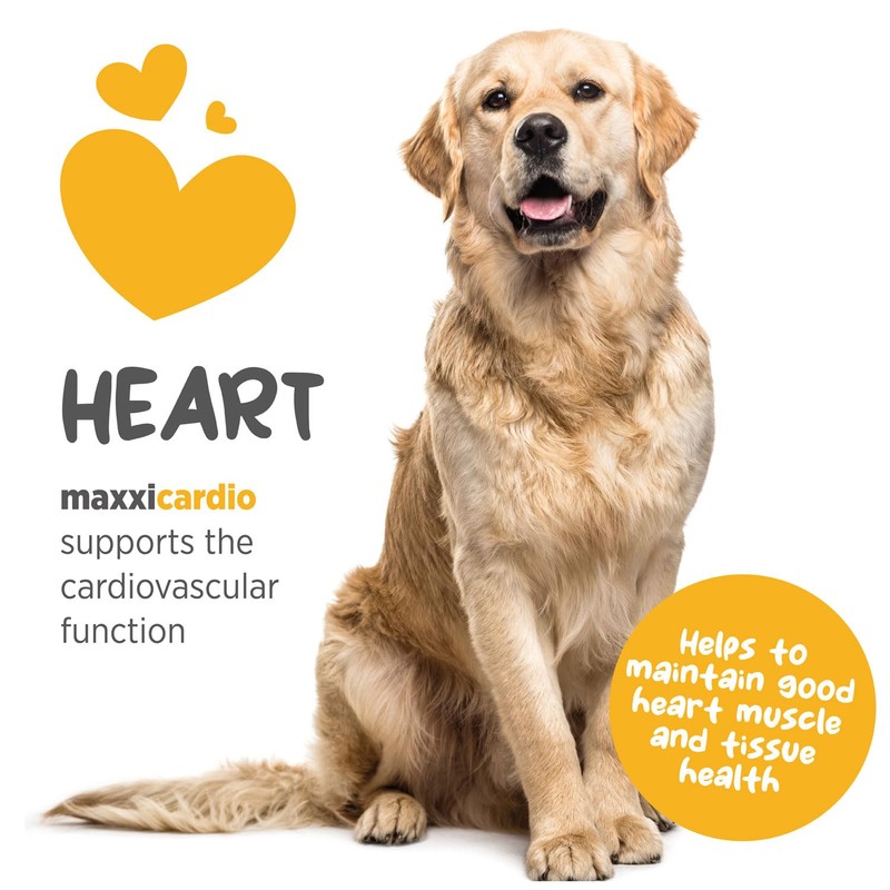 maxxipaws maxxicardio Heart and Cardiovascular Supplement for Dogs – Powder