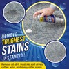 NYCPI & GA Towel and Brush along with Carpet Stain