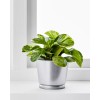 IKEA Galvanized Metal Plant Pot - 4 inches
