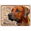 Petsigns Rhodesian Ridgeback Dog Sign, Rustproof UV Resistant Metal Sign,