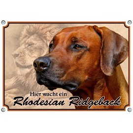 Petsigns Rhodesian Ridgeback Dog Sign, Rustproof UV Resistant Metal Sign, DIN A4