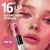 Dermacol Dermacol NEW 16-Hour Lip Colour, Highly Pigmented Glossy Lip