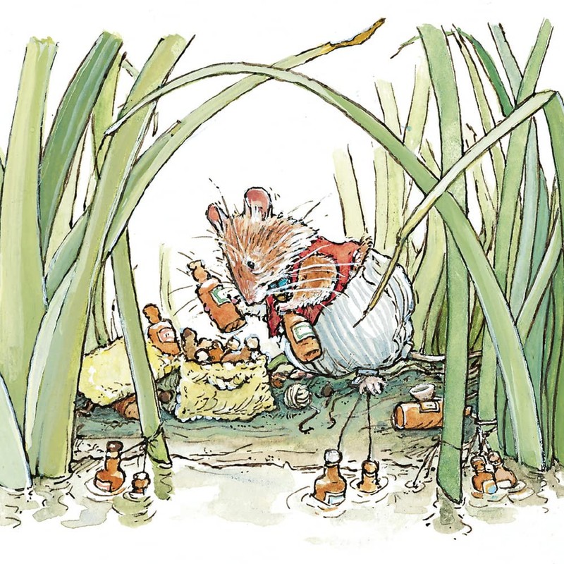 Museums & Galleries Brambly Hedge Picnic Time 8 Square Notecards