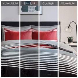 Comfort Spaces Bed in A Bag Comforter Set - College Dorm Room Essentials, Complete Dormitory Bedroom Pack And Sheet with 2 Side Pockets, Queen, Colin Red/Grey 9 Piece