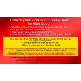 PHOTOSBYJON Canvas Los Angeles Skyline 2019 Night 16 inches x 46 inches Color LA City Downtown Photographic Panorama Print Photo Picture