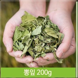 고품질 건조 뽕잎 200g 말린 상엽 약재 건강 전통차 High-Quality Dried Mulberry Leaves 200g Dried Sangyeob Medicinal Health Herbal Tea