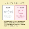 オーガランド 一番搾り なでしこコラーゲン 100g コラーゲン 粉末 コラーゲンペプチド コラーゲンパウダー 無添加