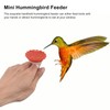 Handheld Hummingbird Feeder, Hand Held Get Up Close Bright Creative