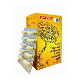 TIGERUS® 300mg Organic Tiger Milk Mushroom Sclerotia 60’s – Natural Immune Booster, Supports Respiratory Health, 100% Organic & Pure, Made in Malaysia, 60 Veggie Capsules for Daily Wellness