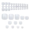 NTIP-006 Nail Tips [For Foot] 240 Pieces 12 Sizes Flesh