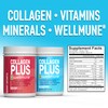 Giant Sports Péptidos de Colágeno | Plus Beta Glucano (WELLMUNE®)