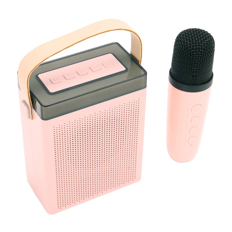 Karaoke Machine Set with RGB Light Rechargeable Bluetooth Speaker with
