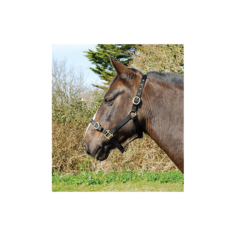 Rhinegold Nylon Headcollar - Pony - Black