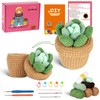 Finnacy Crochet Kit for Beginners Adults,Potted Succulent Plant Crochet Storage