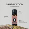 Sandalwood Premium Grade Fragrance Oil - 10ml - Scented Oil