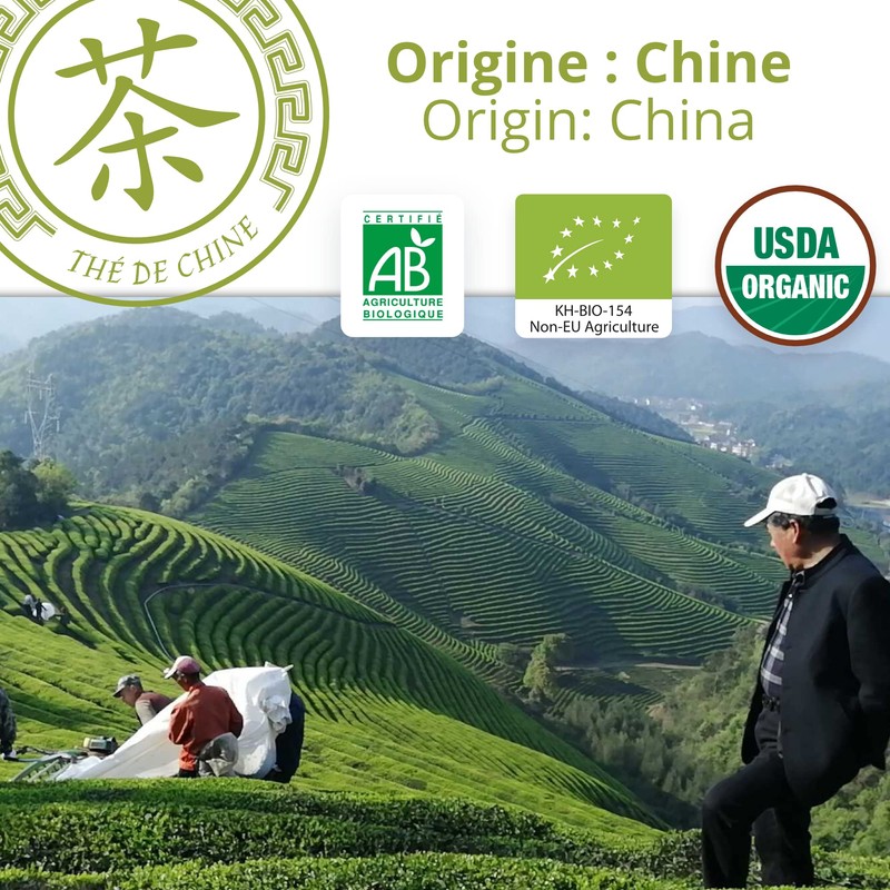 Khla - Chun Mee Organic Green Tea - 20 Pyramid