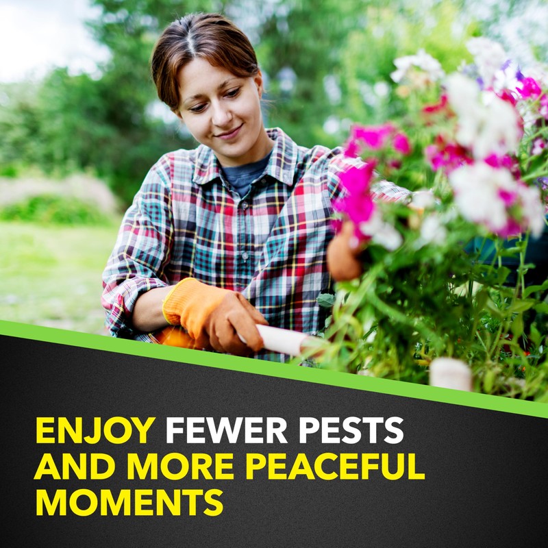 Raid Yard Guard Mosquito Fogger, 16 oz