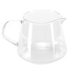 Transparent Cup High Borosilicate Glass Coffee Sharing Cup AntiScalding for