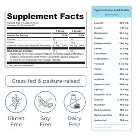 Ancient Nutrition Collagen Peptides Powder, Multi Collagen Protein, Women & Men, Vitamin C, Probiotics, Hydrolyzed Collagen, Supports Skin, Joints, Gut Health, Vanilla, 60 Servings