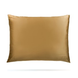 ENVISKIN 100% Mulberry Silk Pillowcase Infused with Silver Ions - Pure 30 Momme Grade 6A Fibers for Beautiful Skin and Hair - Cooling Pillow Case Protector with Zipper (Standard) Gold Color