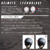 SWANS(スワンズ) Ski Snowboard Helmet for Children H-461R P1 BL Blue
