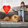 BISSELL Little Green PET OXY Spot & Stain Free &