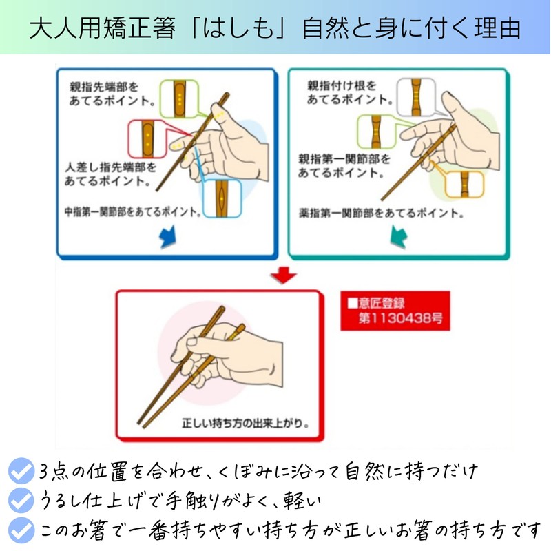 FlaColle Hashimo [How to Hold Chopsticks Naturally] Adult Orthopedic Chopsticks