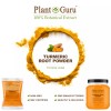Plant Guru Turmeric Root Powder 2.5 lb Jar Curcumin Curcuma