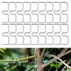 NYZQIW Pack of 30 Branch Pullers for Fruit Trees, Branch