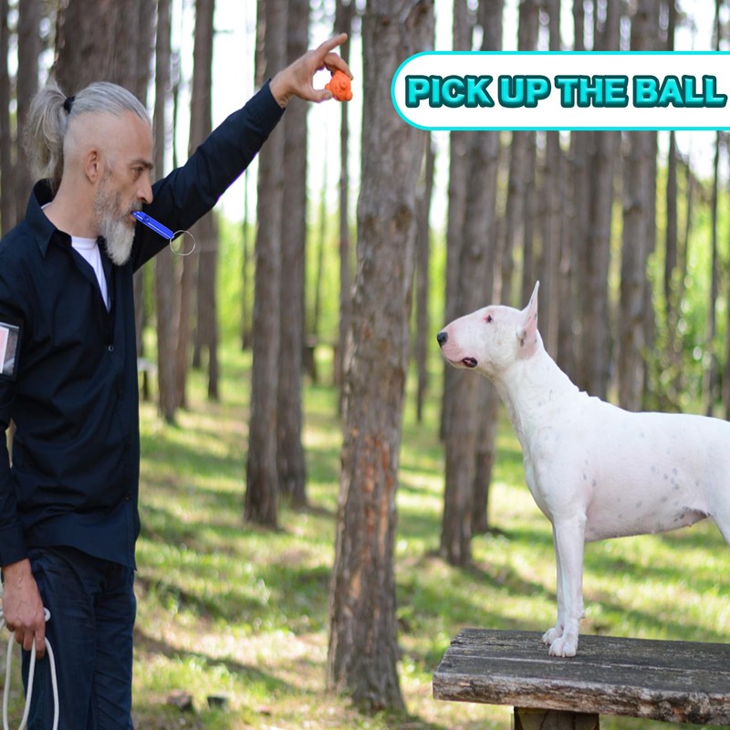 4 PCS Dog Whistles For Recall, Dog Training Whistle for