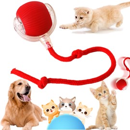 KOLGEIKJ Interactive Cat Toy for Indoor Cats, New Smart Rolling Ball For Pet, Electric Automatic Cat Toys for Indoor Cats, Moving Cat Toys, Electric Automatic Cat Toys For Indoor Outdoor Small Cats