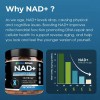 Nad Resveratrol Quercetina Curcuma Hecho En Usa