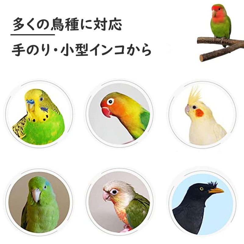 IYOIYA Bird Carrier, Parakeet, Carrying Case with Perch, Literary Bird,