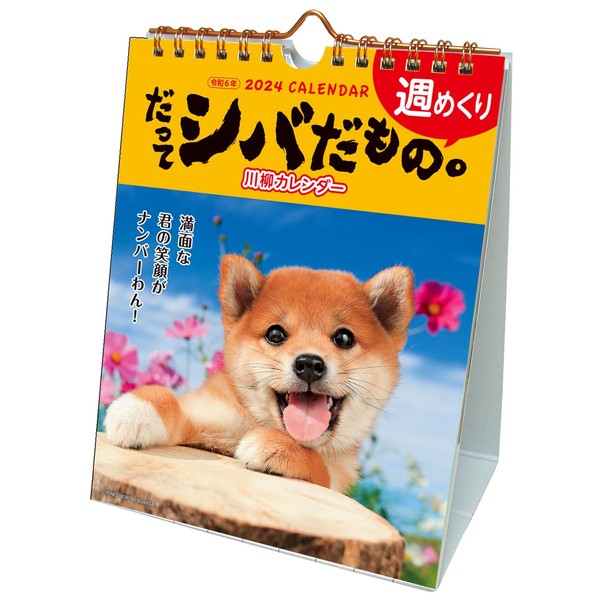 Active Corporation 2024 Calendar, Tabletop, Even Shiba 24ACL-566, Begins January