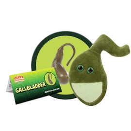 GIANTmicrobes Gallbladder Plush