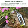 Spear & Jackson Kew Gardens Razorsharp 4172KEW Garden Snips