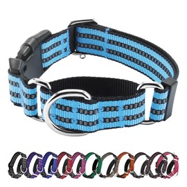 Hikiko Martingale Dog Collars Reflective Nylon Dog Collar with Quick Release Buckle Adjustable Training No Slip Dog Collar (Large, Light Blue)