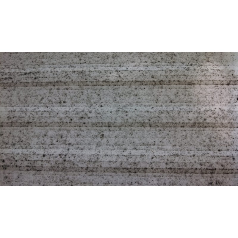 JJV'S BEST Scum Remover (Gallon)