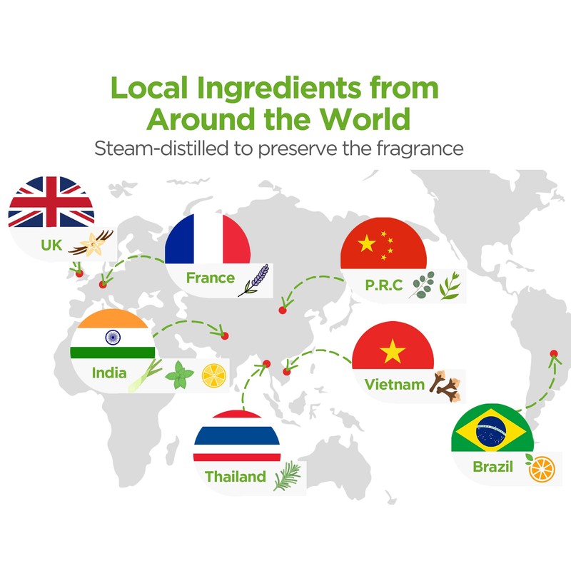 InnoGear Aromatherapy Diffuser & 10 Essential Oils Set, 400ml Diffuser