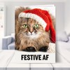Funny Cat Christmas Card for Cat Mum or Dad! Festive