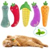 Bestac Catnip Vegetable-Shaped Cat Toy - Filled with Catnip for