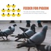 Ipetboom 1 Set Automatic Chicken Feeder 10 Quail Water Cups