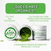Aiya Matcha Ceremonial Orgánica (30 g)