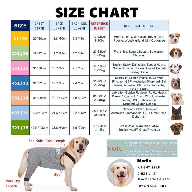 Dog Recovery Suit for Hid Leg, Soft Stretchy Pants for