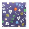 Marushin 0605011700 Ice Bag Ice Bag Icing Guts Basketball Part