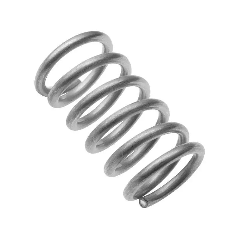 Cascade Designs MSR MSR MOUNTAIN SAFETY RESEARCH RELIEF VALVE SPRING,