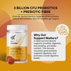 10X Athletic Pre Probiotic Gut Gummies – Pineapple & Orange