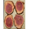 ~5" x 7" Diameter Oval Aromatic Red Cedar ¾" Thick