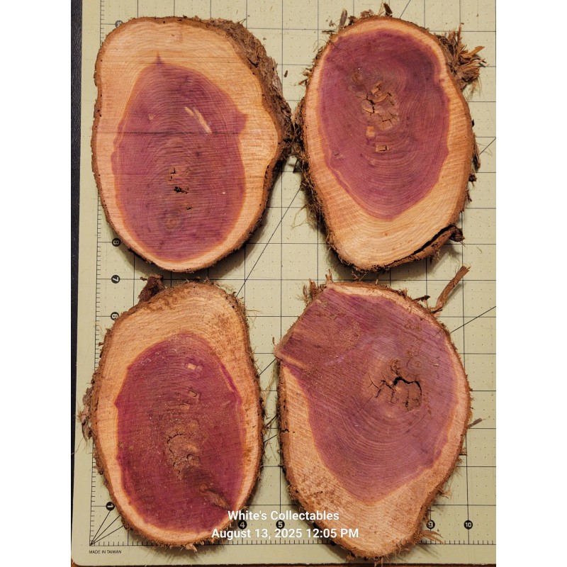 ~5" x 7" Diameter Oval Aromatic Red Cedar ¾" Thick